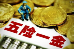 自己怎么交五险一金,个人与企业共同构建社会保障体系”