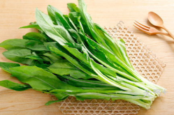 油麦菜和莴笋叶的区别,油麦菜与莴笋叶的全方位对比解析