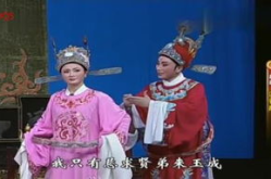 越剧电视剧九斤姑娘,九斤姑娘的智慧与喜剧人生
