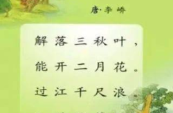 写风的诗句,自然与情感的交织