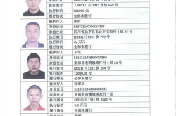 被执行人失信名单查询官网,深度解析被执行人失信名单查询官网
