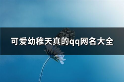 幼稚网名,幼稚网名的趣味解读与创意应用”