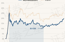景顺蓝筹基金净值,稳健投资与市场走势的深度洞察”