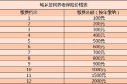 农村社保每年交3000元到6o拿多少,60岁退休后月领养老金多少？