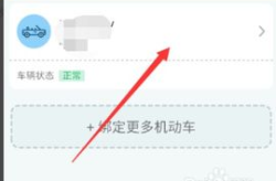 怎么查违章最快最准确,快速准确掌握车辆违章信息