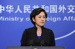 娱乐吃瓜酱外交部,娱乐吃瓜酱背后的外交风云