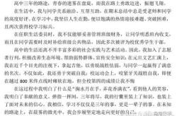 娱乐吃瓜点评怎么写范文,揭秘明星幕后故事
