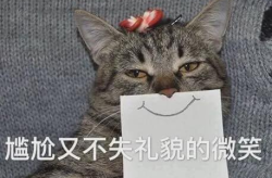 娱乐吃瓜君与猫,揭秘娱乐圈的萌宠生活