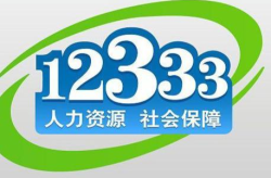 12333社保官网,一站式社保查询与服务平台详览